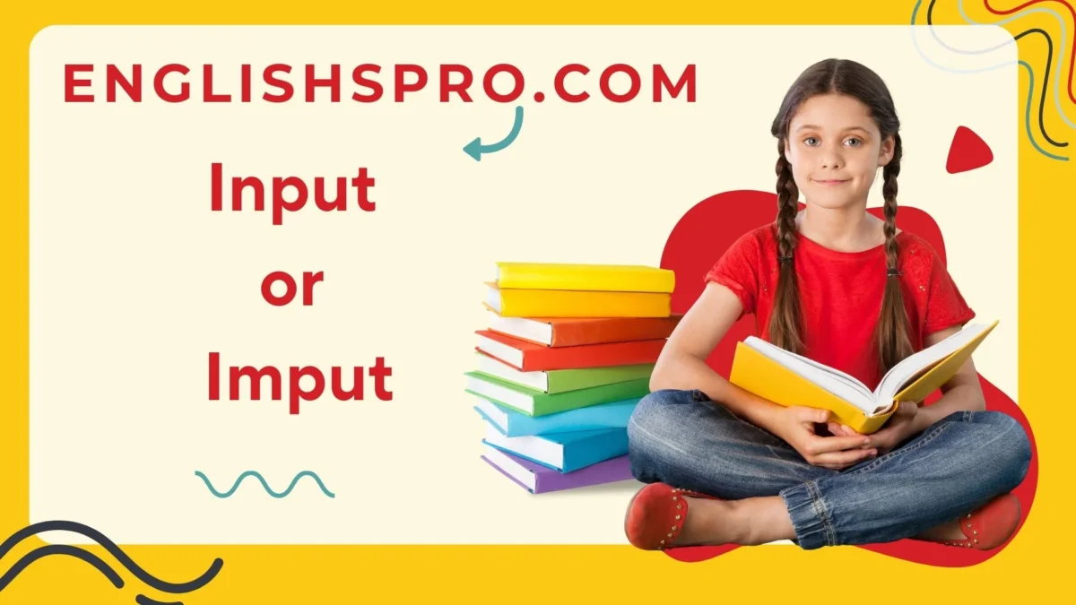 Input or Imput: Which is Correct?